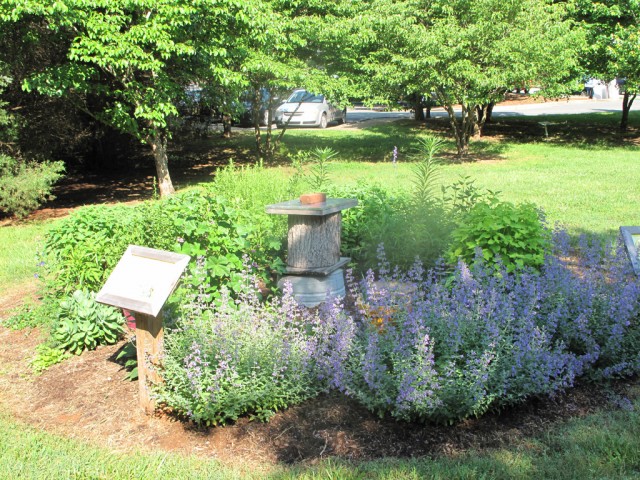 pollinator garden