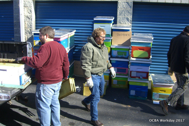 Approximately 45 hives were opened, inspected, and reassembled into standardized single deep hives.