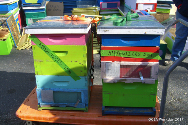 4 hives were selected and stored for OCBA's Youth Apprentice Program in 2018.