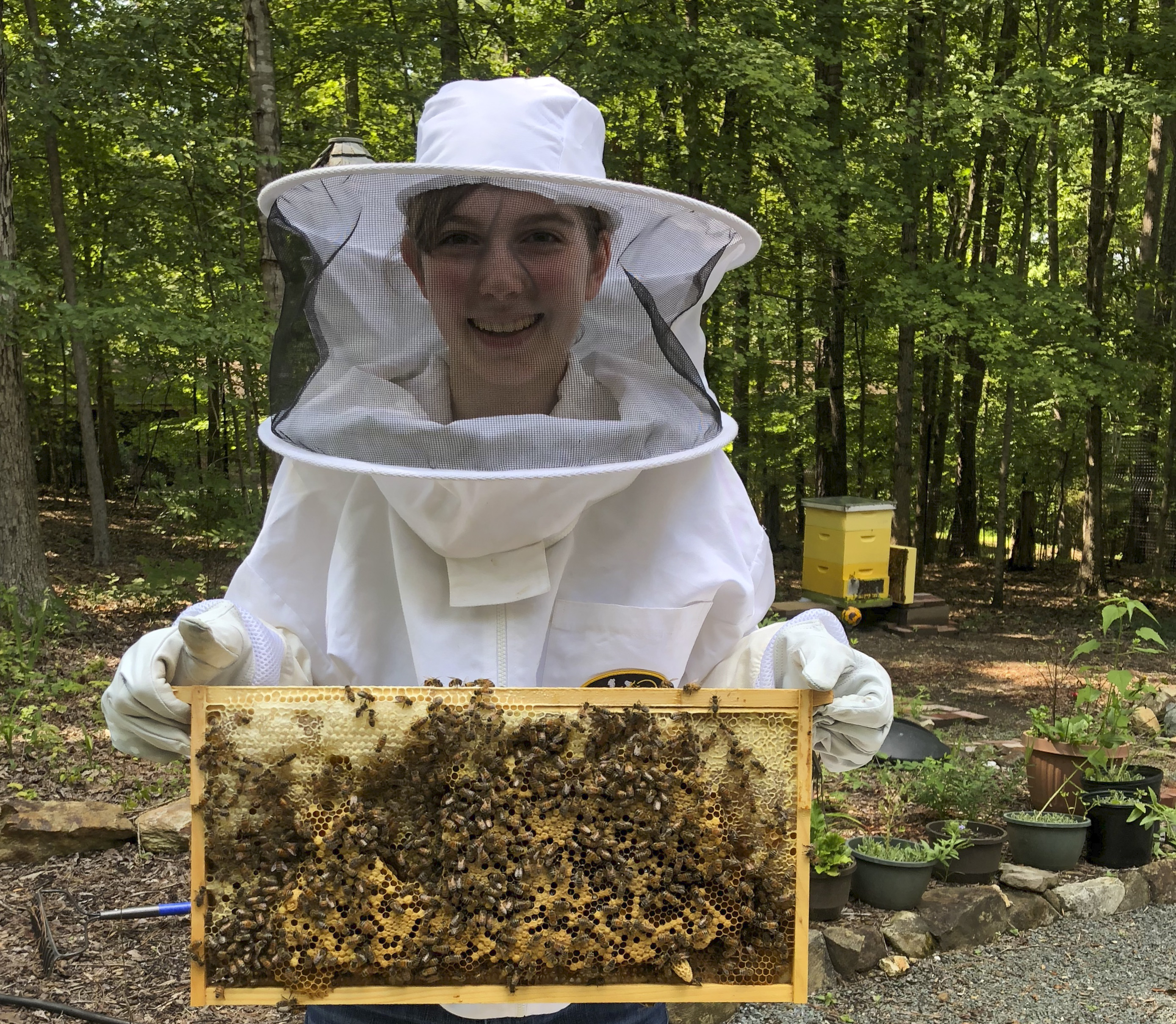 2024 Beginner Beekeeper School