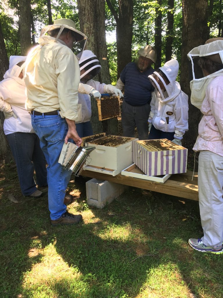 First Year Beekeeper Cluster Orange County Beekeepers Association